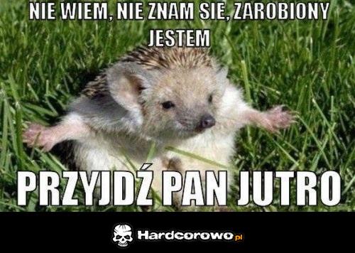 Skąd ja to znam - 1