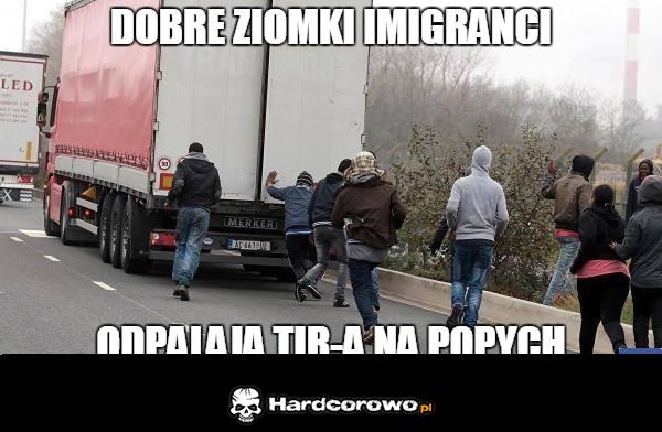 Imigranci - 1
