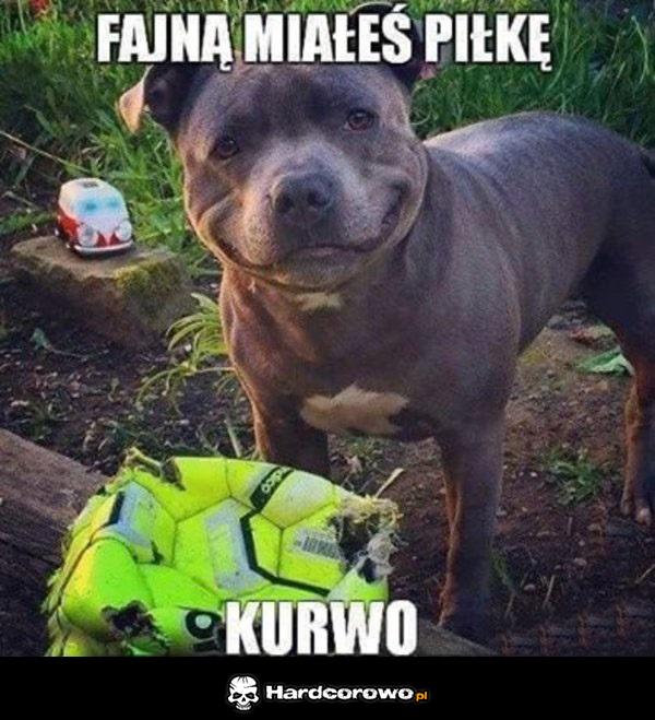 Fajna piłka kurwo - 1