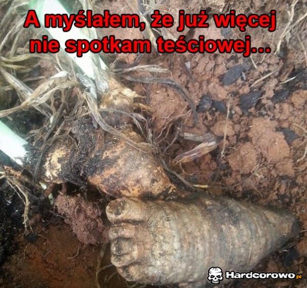 Jednak spotkałem - 1