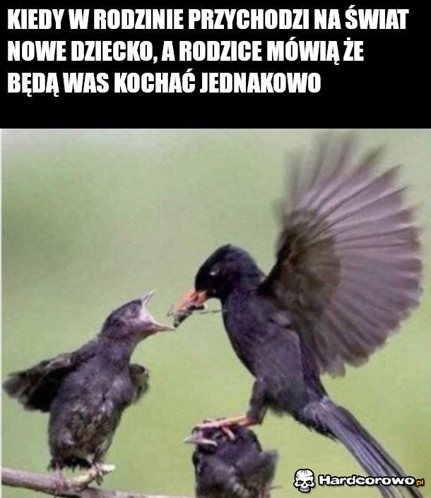 Rodzina - 1