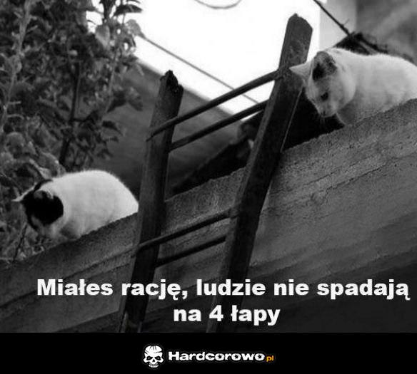 Ludzie nie ogarniają - 1
