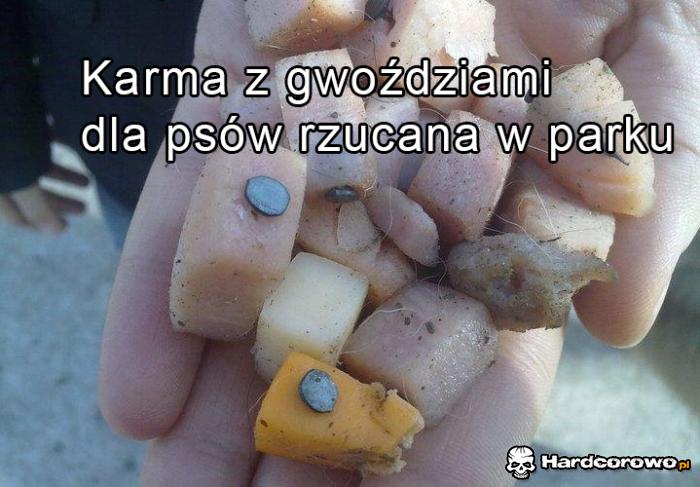 Karma z gwoździami dla psów  - 1