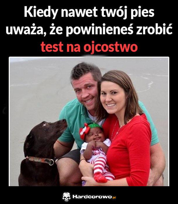 Test na ojcostwo - 1