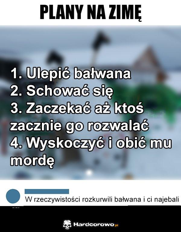 Plany na zimę - 1