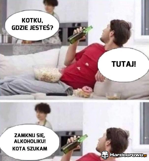 Kotku, gdzie jesteś? - 1