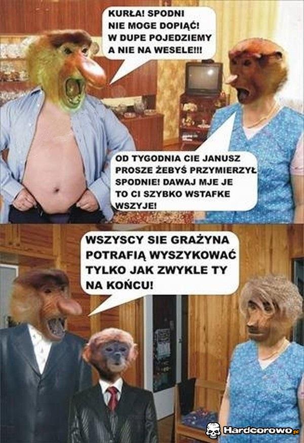 Janusz z Grażynką idą na wesele - 1