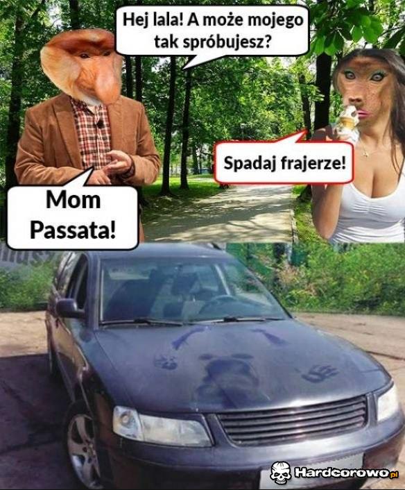 Wabik na kobiety - 1