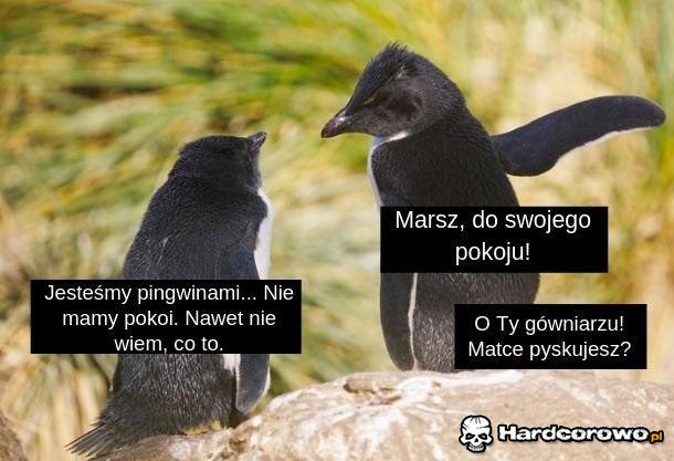 Mamy takie są - 1