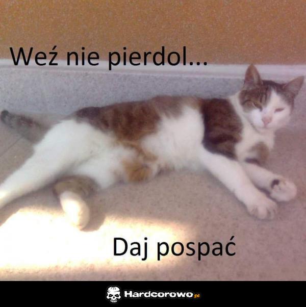 Weź nie pierdol  - 1