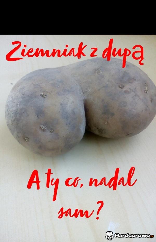 Narazka przegrywy - 1