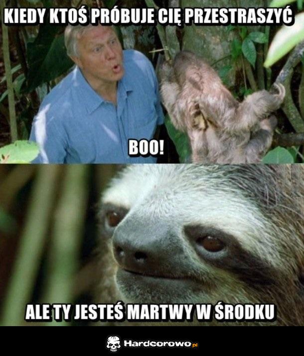 Coś poszło nie tak - 1