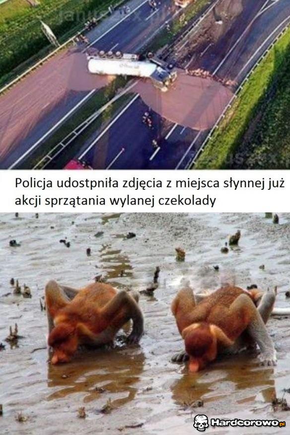 Służby specjalne - 1