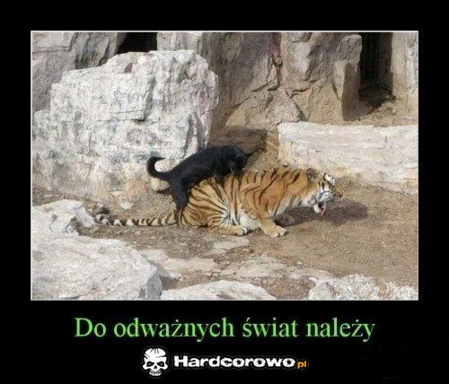 Do odważnych świat należy - 1