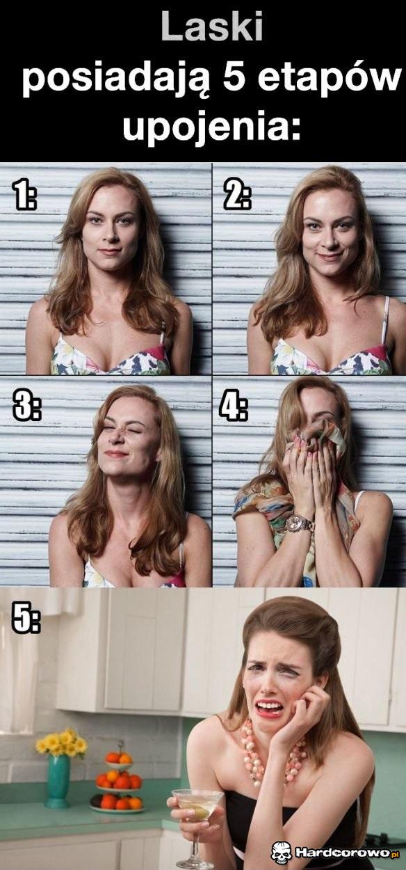 Etapy upojenia lasek - 1