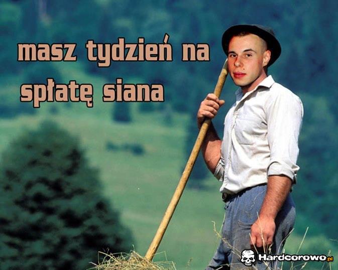 Spłata siana - 1