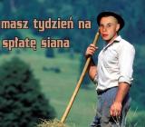 Spłata siana