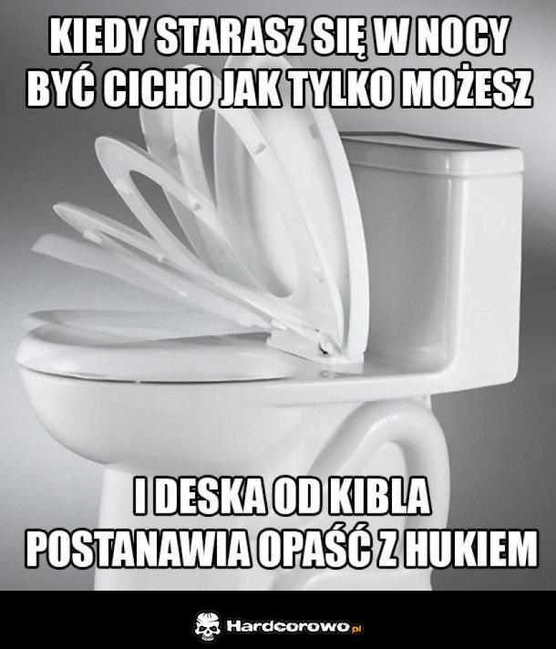 Deska klozetowa - 1