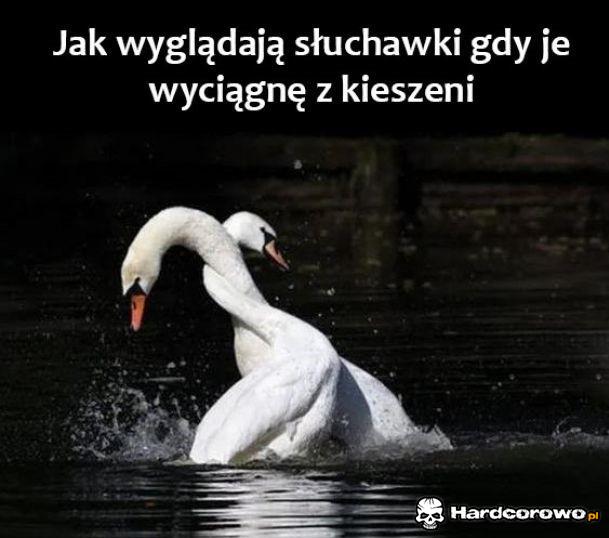 Słuchawki - 1