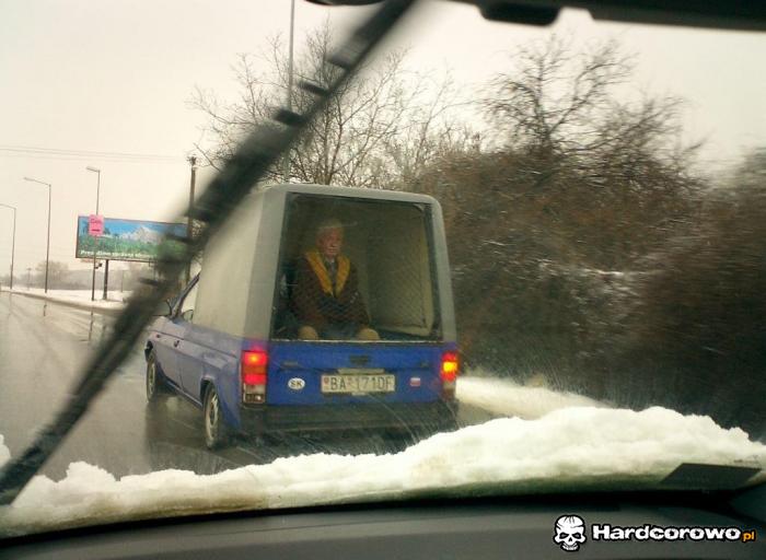 Zabrany autostopowicz - 1