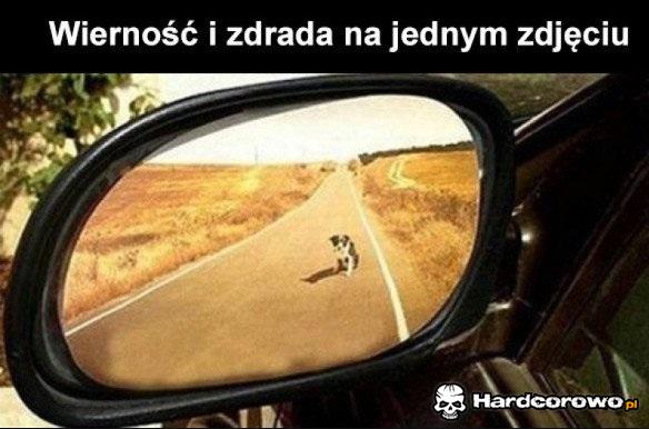 Wierność i zdrada - 1