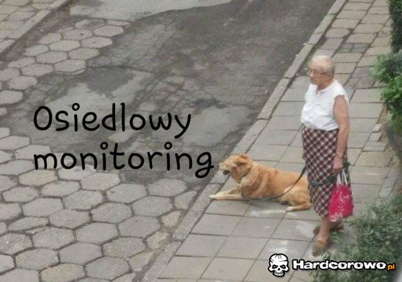 Osiedlowy monitoring - 1