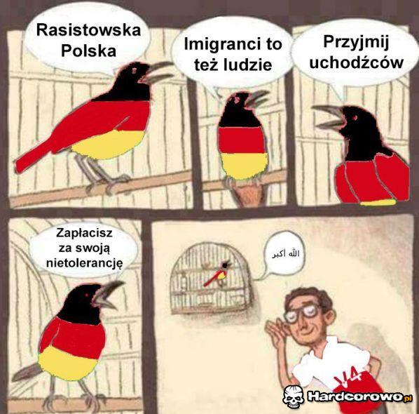 Jak ładnie śpiewa - 1