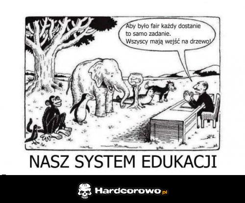 Nasz system edukacji  - 1