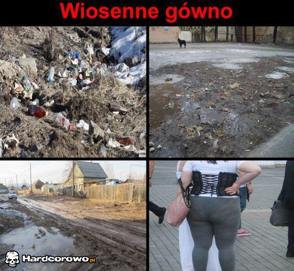 Wiosenne gówno - 1