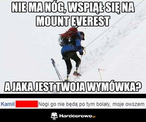 Wymówka - 1