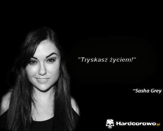 Sasha - 1