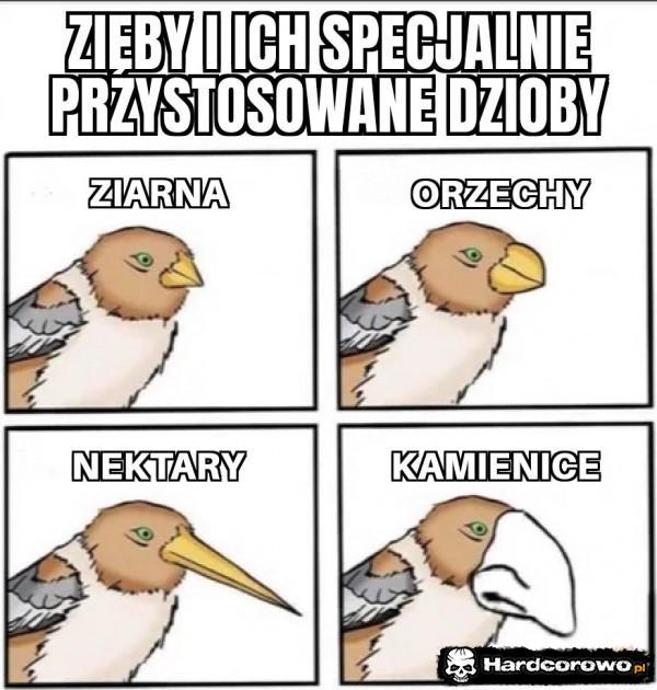  - 1