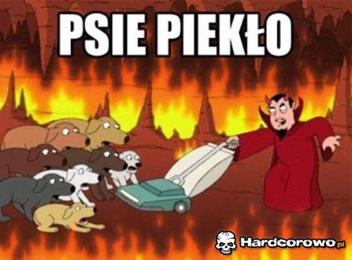 Psie piekło  - 1
