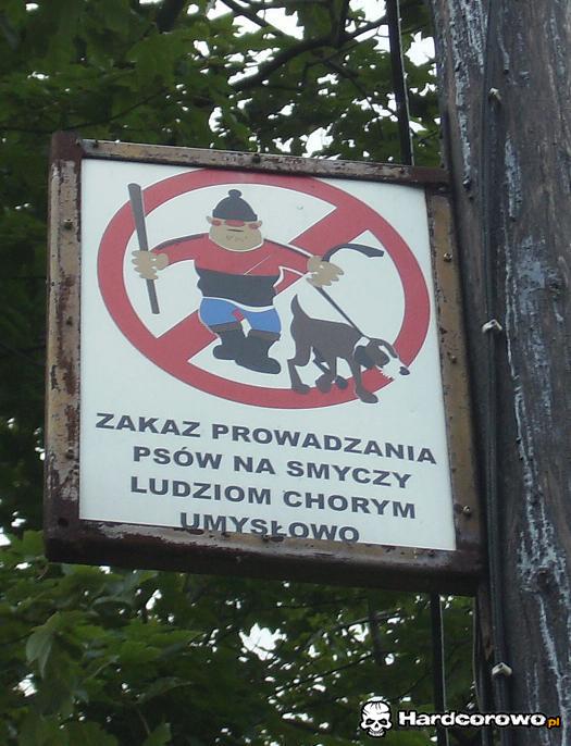 Zakaz prowadzenia psów na smyczy - 1