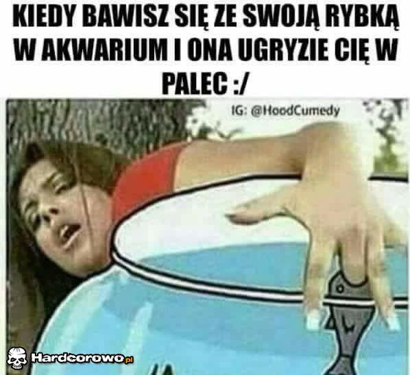 Zabawa z rybką  - 1