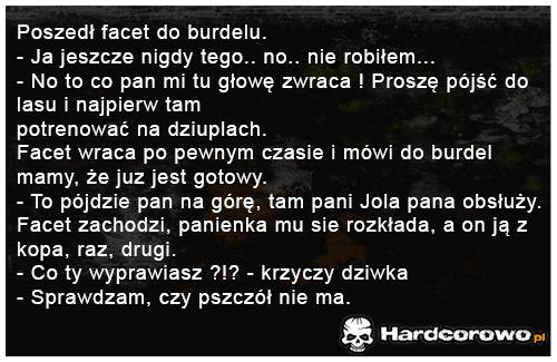 Poszedł facet do burdelu - 1