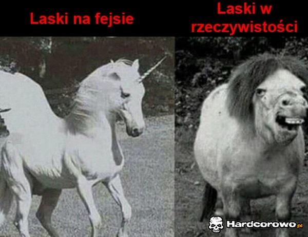 Laski takie są - 1
