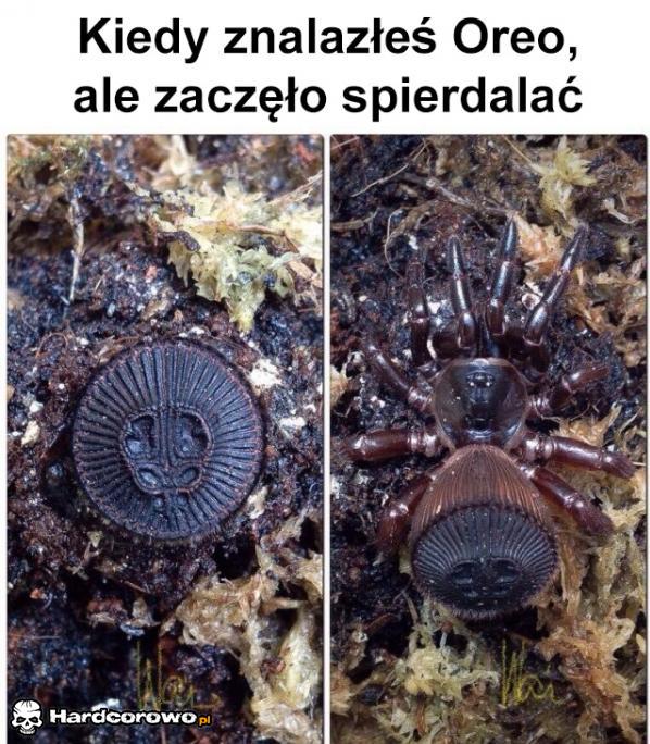 Oreo - 1