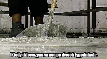 Po długiej nieobecności - 1