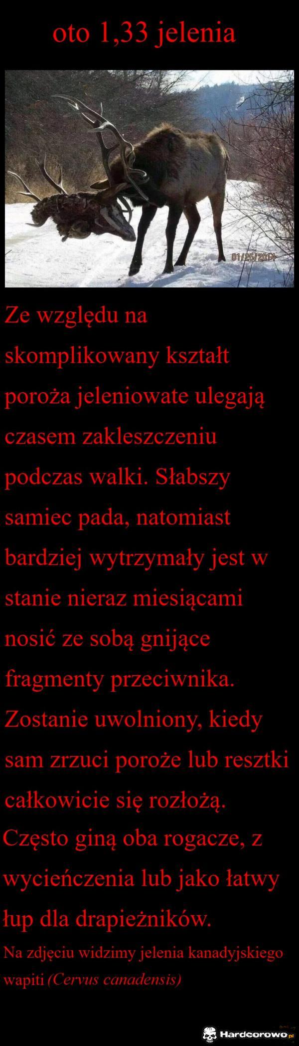  - 1