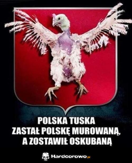 Polska Tuska  - 1