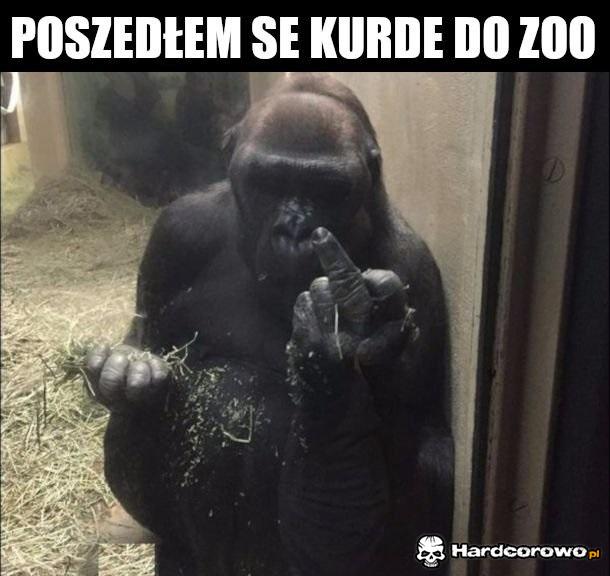 Nie mam szacunku na dzielni więc - 1