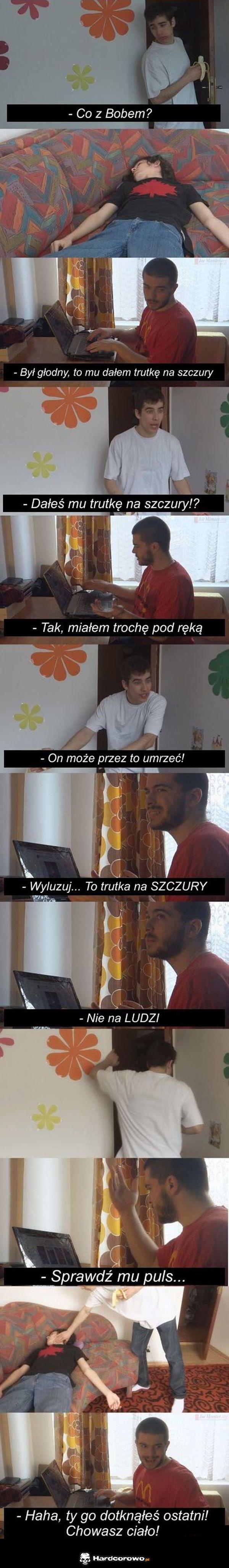 Trutka na szczury - 1