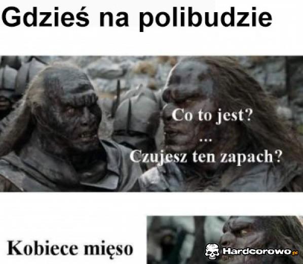 Gdzieś na polibudzie - 1