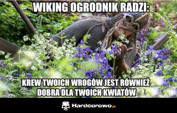 Wiking ogrodnik  radzi - 1