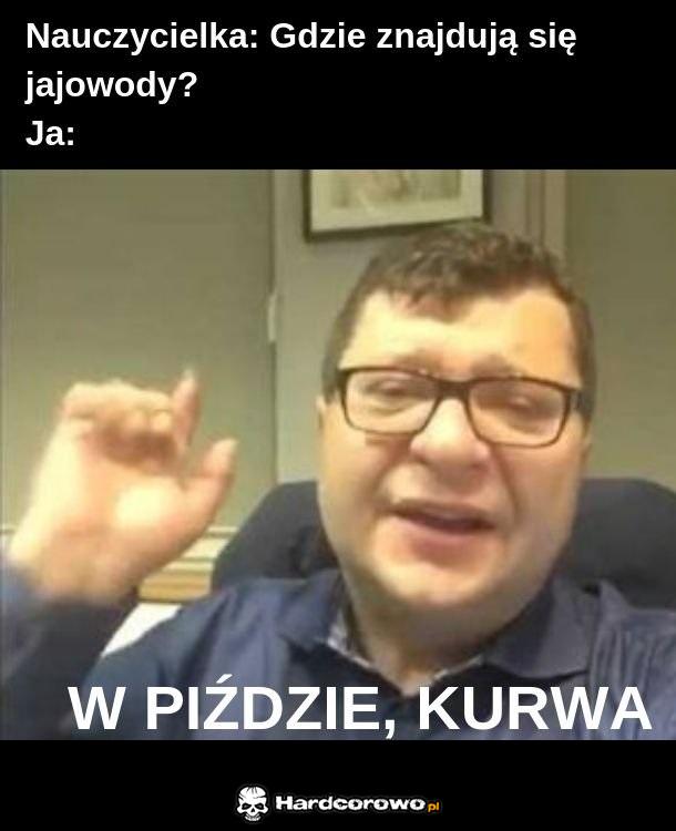 No bo gdzie? - 1