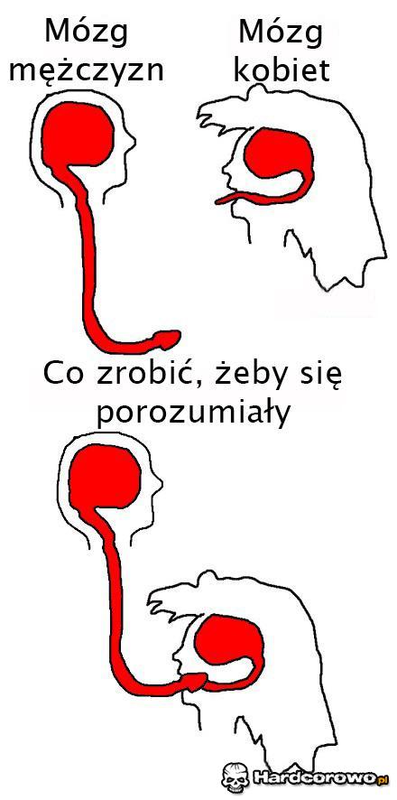 Porozumienie - 1