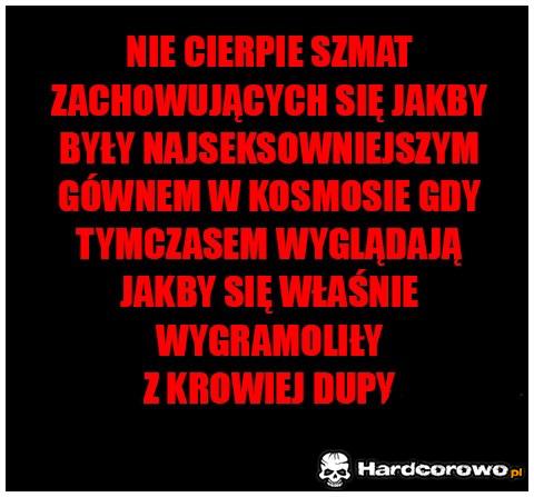 Nie cierpię szmat  - 1