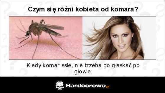 Czym się różni kobieta od komara? - 1