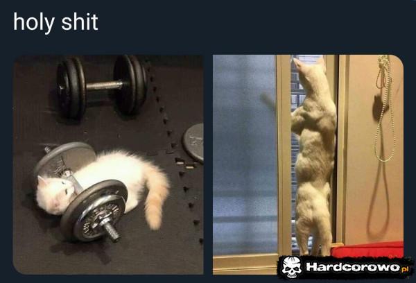  - 1